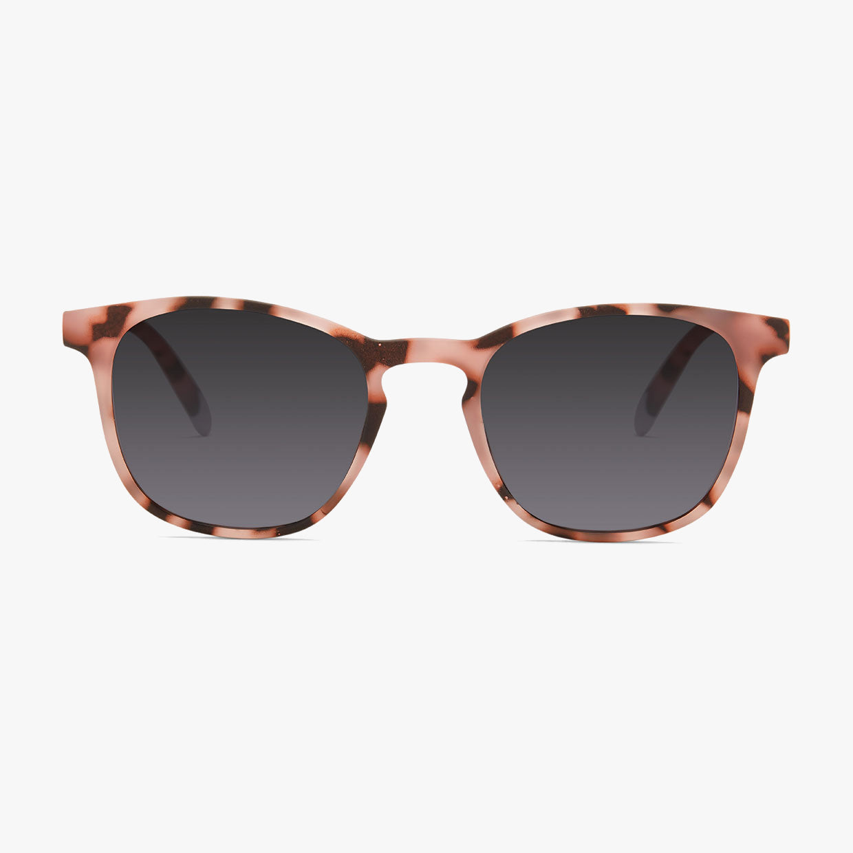 pink-tortoise