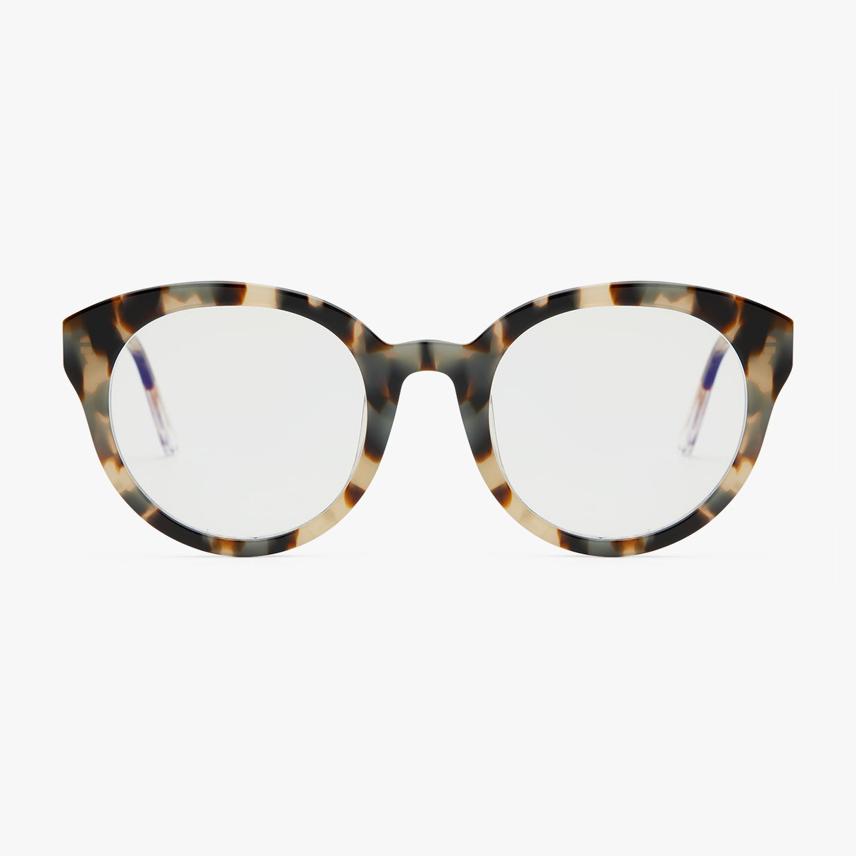 black-tortoise