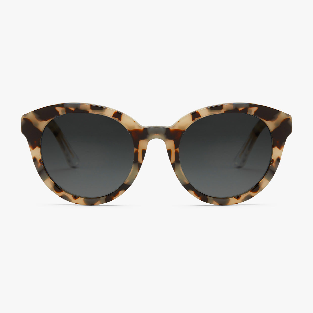 black-tortoise