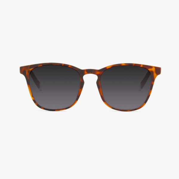 BARNER Dalston Lunettes Anti Lumière Bleue Pour Ordinateur - Homme Et Femme - Verres Organiques